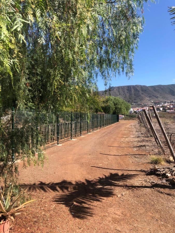 Casita Entre Vinedos, Experiencia Rural, Ideal Ninos. Tegueste Екстериор снимка