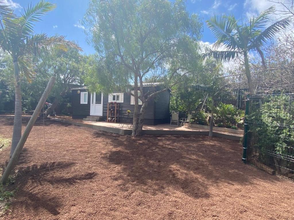 Casita Entre Vinedos, Experiencia Rural, Ideal Ninos. Tegueste Екстериор снимка