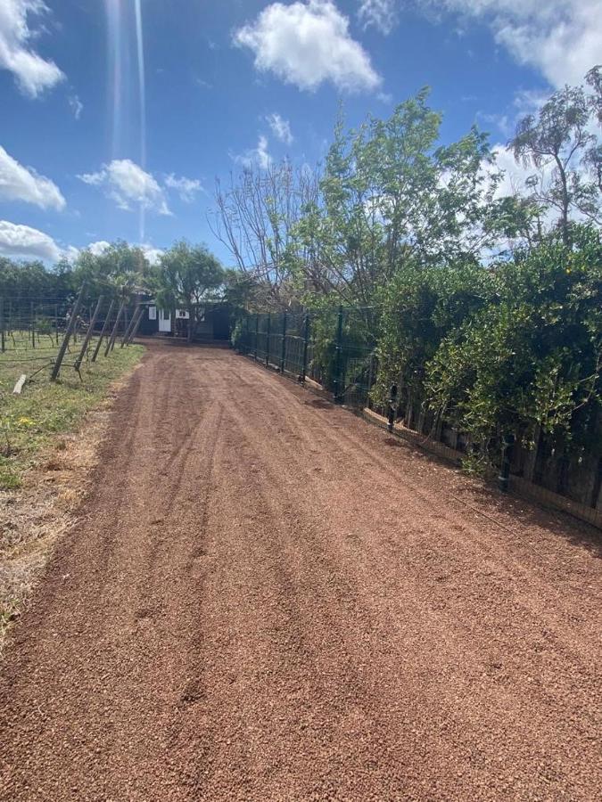 Casita Entre Vinedos, Experiencia Rural, Ideal Ninos. Tegueste Екстериор снимка