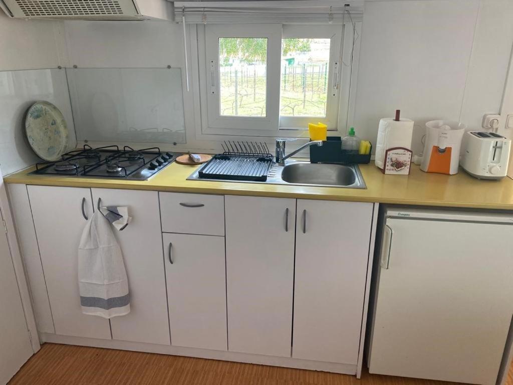Casita Entre Vinedos, Experiencia Rural, Ideal Ninos. Tegueste Екстериор снимка