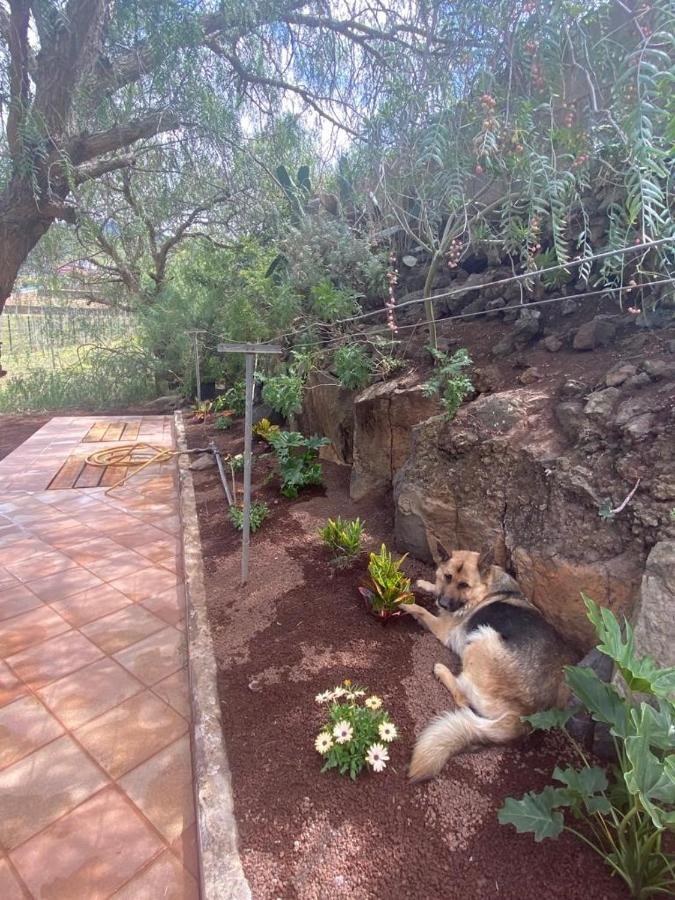 Casita Entre Vinedos, Experiencia Rural, Ideal Ninos. Tegueste Екстериор снимка