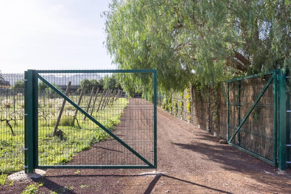 Casita Entre Vinedos, Experiencia Rural, Ideal Ninos. Tegueste Екстериор снимка