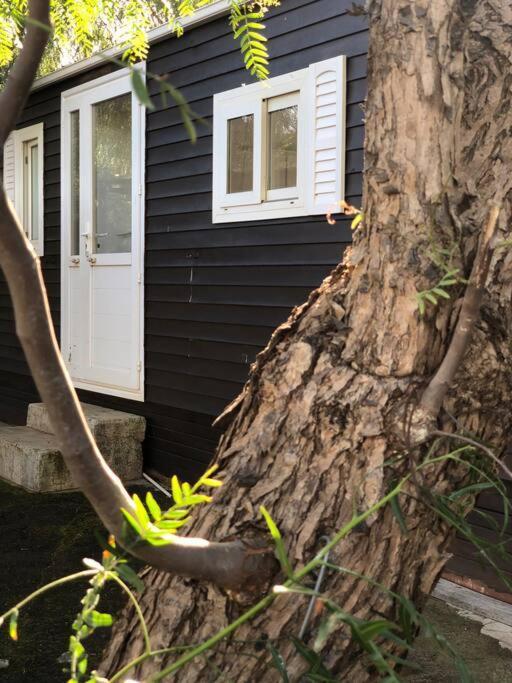 Casita Entre Vinedos, Experiencia Rural, Ideal Ninos. Tegueste Екстериор снимка