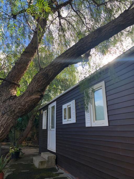 Casita Entre Vinedos, Experiencia Rural, Ideal Ninos. Tegueste Екстериор снимка