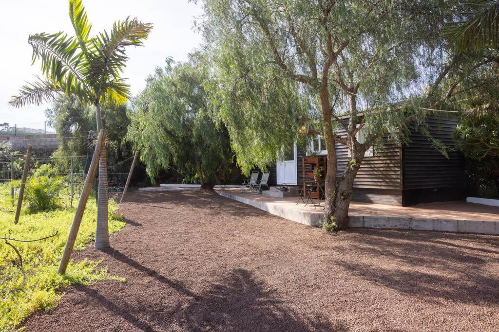 Casita Entre Vinedos, Experiencia Rural, Ideal Ninos. Tegueste Екстериор снимка