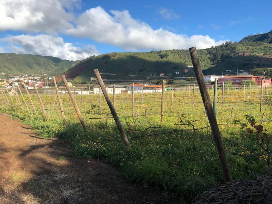 Casita Entre Vinedos, Experiencia Rural, Ideal Ninos. Tegueste Екстериор снимка